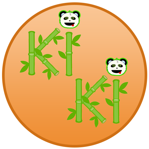 Panda Kiki icon