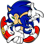 Sonic Survivor icon