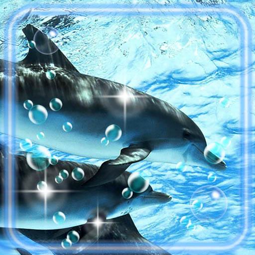 Дельфины Лучшие Живые Обои иконка