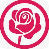 Peter Wallpaper on 9Apps