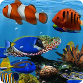 Aquarium 1 live wallpaper icon