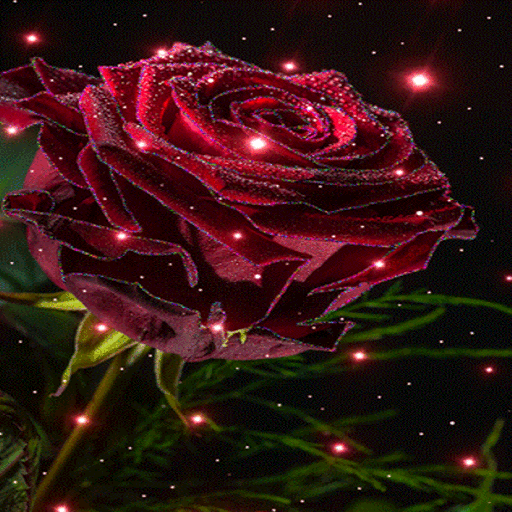 Magical Rose Live Wallpaper icon