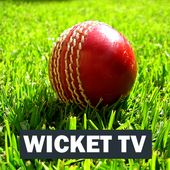 Wicket TV icon