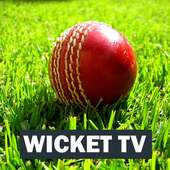 Wicket TV