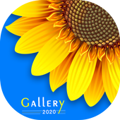 Gallery 2020 icon
