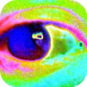 Plasma Scope on 9Apps