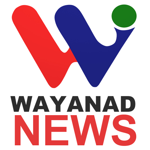 Wayanad Vision News icon