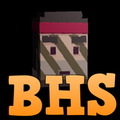 Block Head Survival icon