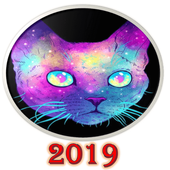 Bilder von Funny Cats, Wallpaper icon