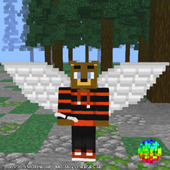 Wearables Wings Add-on icon