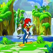 fight woody crazy:adventure