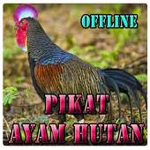 Suara Pikat Ayam Hutan on 9Apps