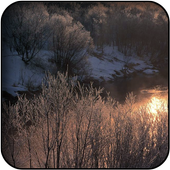 Korea wallpapers icon