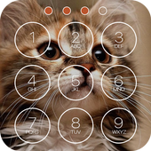 Cute Kitten Lock Screen icon