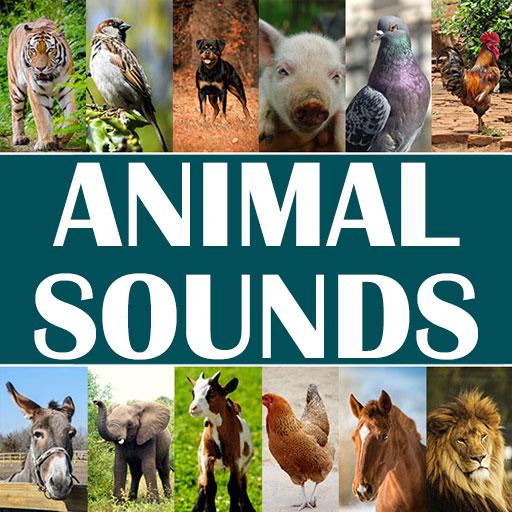 Animal Sounds for Kids icon