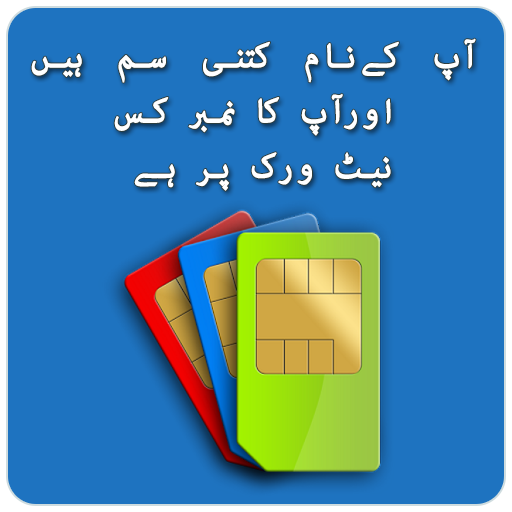 Sim &amp; Network Verification icon