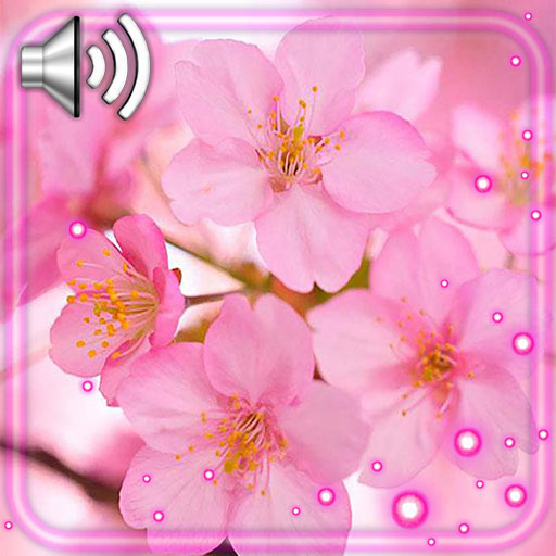 Cherry Sakura icon