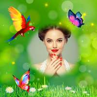 Love Birds Photo Frames on 9Apps