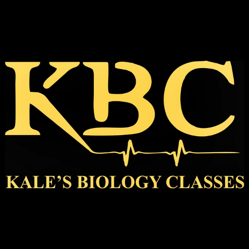 KBC icon