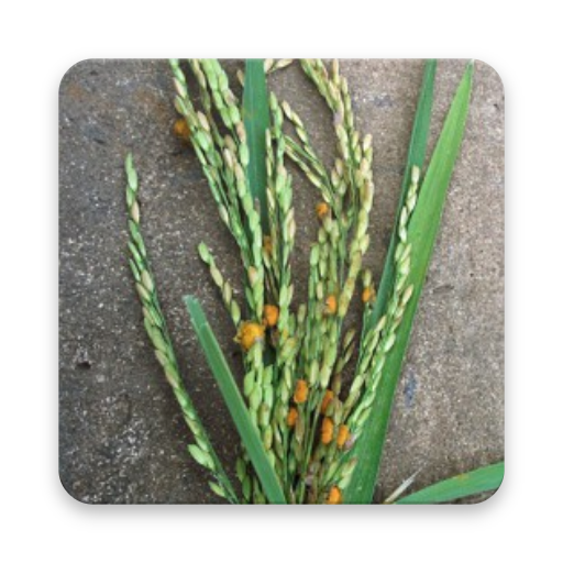 Plant protection icon