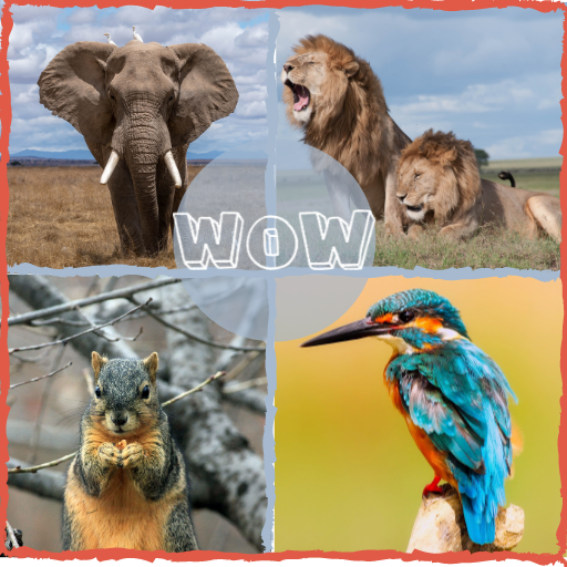 All animal sounds icon