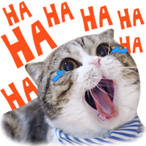 Daily Funny Pictures &amp; Gifs icon