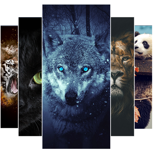 Animal Wallpaper 2021 icon
