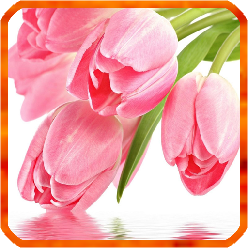 Tulip Live Wallpapers icon