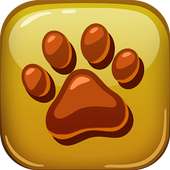 Animals Quiz Game