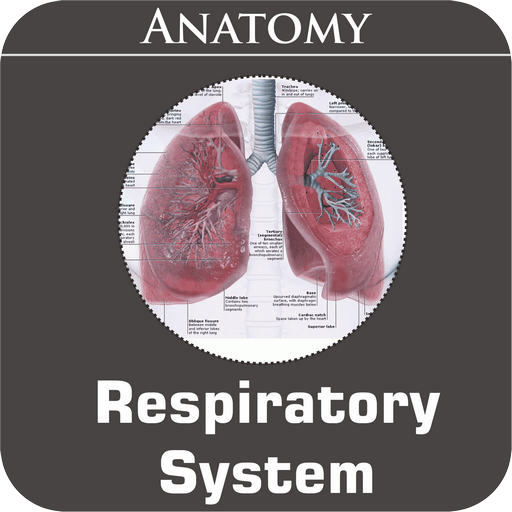 Respiratory System icon