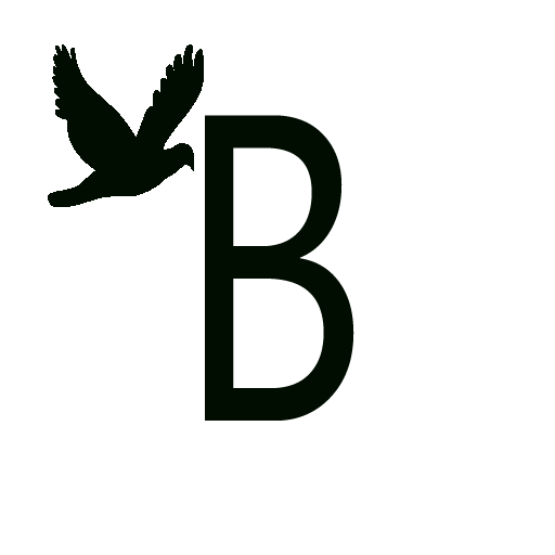 Mini Begeni Plus icon