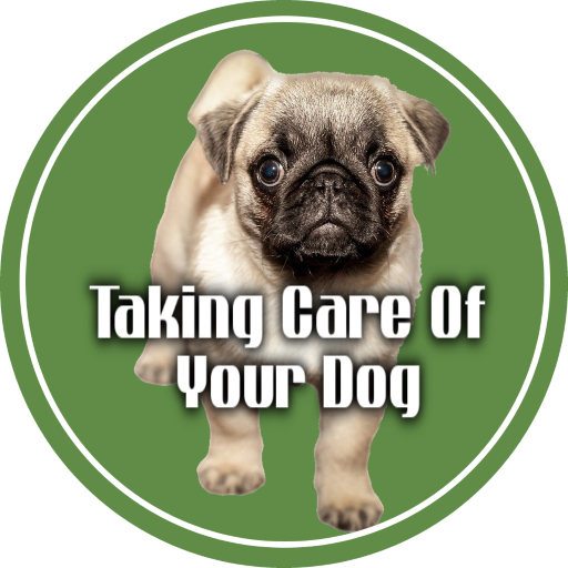 Taking care of your dog and the dog care routine icon