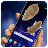 3D Rat on Screen Live Wallpaper & Prank Launcher on 9Apps
