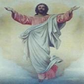 King James Bible QuizII icon