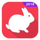 VPN Rabbit -  Everyone's Favorite Free VPN 2018