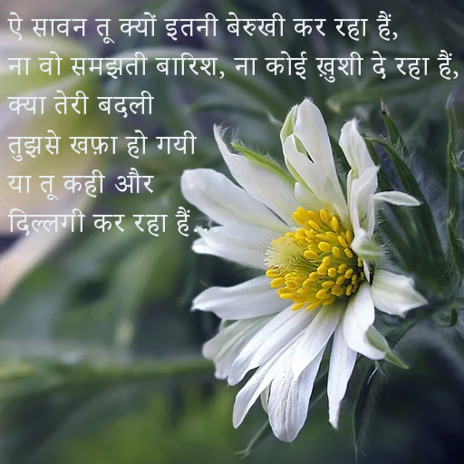 Photo pe shayari likhne wala app icon