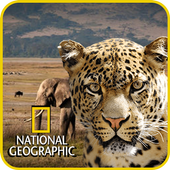 National Geographic Documentary Channel App icon