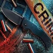 Crime Agent Investigation