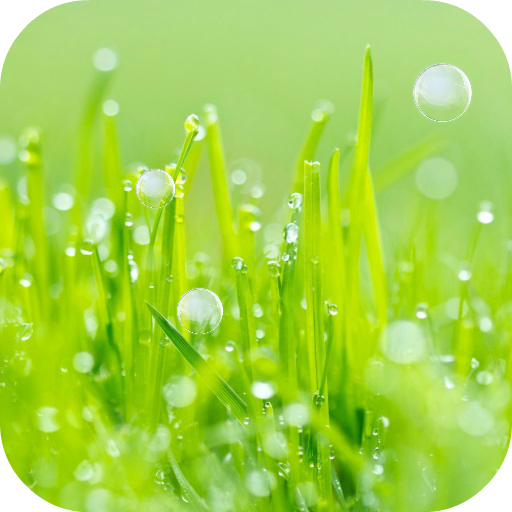 Grass Live Wallpaper icon