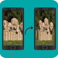 Full Image Wallpaper on 9Apps