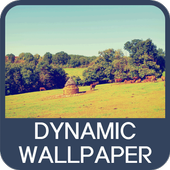 Dynamic Wallpaper आइकन