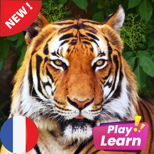 Learn Animals in French : Picture Quiz &amp; Spelling icon