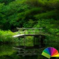 Nature Nougat Theme For Xperia on 9Apps