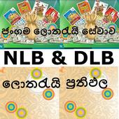 NLB and DLB Lottery Results icon