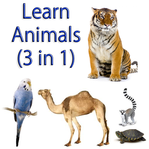 Learn Animal Names (3 in 1 ) icon