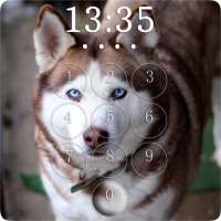 Husky Lock Screen on 9Apps