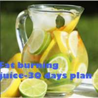 Fat burning juice-30 days plan on 9Apps