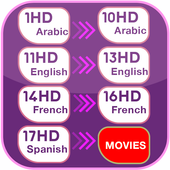 All Sports TV LIVE Match Infos icon