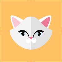 Bymo bird V cats: 1 or 2 - 8 players