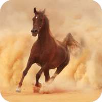 Horse Wallpaper Best HD on 9Apps